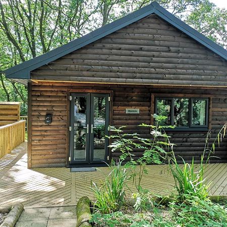 Bluestone-Hot Tub-Woodlandlodges-Pembrokeshire-Tenby Carmarthen Zewnętrze zdjęcie