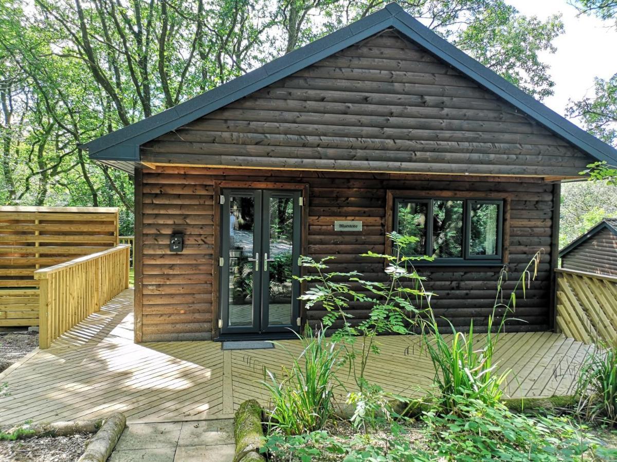 Bluestone-Hot Tub-Woodlandlodges-Pembrokeshire-Tenby Carmarthen Zewnętrze zdjęcie